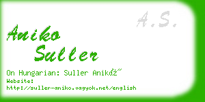 aniko suller business card